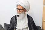 آیت‌الله شیخ بشیر نجفی: فرشتگان بر مقام خادمان امام حسین(ع) در قیامت غبطه می‌خورند