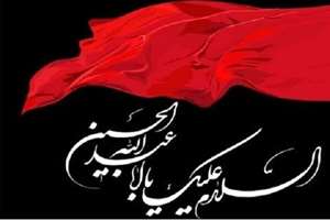 بازخوانی کارکردهای دیپلماسی اربعین