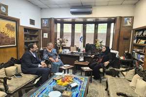 تأثیر هنر و معماری ایرانی بر بناهای تاریخی پاکستان از آشکارترین نمادهای همکاری فرهنگی بین دو کشور است
