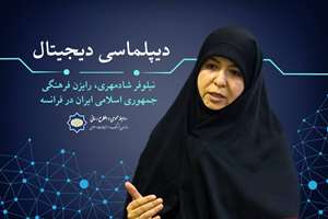 دیپلماسی دیجیتال| قواعد استفاده از هر برساخت تکنولوژیک را حدود فرهنگی کشور مشخص می‌کند- گفت‌وگو