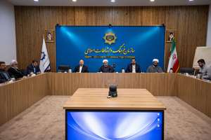 سند راهبردی امور فرهنگی و اجتماعی ایرانیان خارج از کشور تبیین شد؛ اهمیت بهره‌مندی از نهادهای غیردولتی