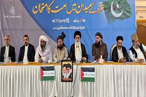 کنفرانس وحدت امت «غزه میدان امتحان امت» در پیشاور برگزار شد