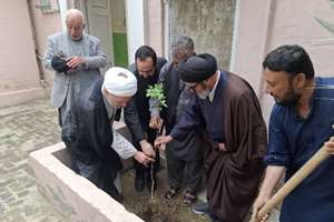 پویش مردمی غرس نهال میثاق در شهرهای پاکستان