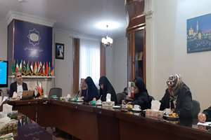  برگزاری کارگاه توانمند سازی سازمان های مردم نهاد خراسان رضوی در عرصه بین الملل