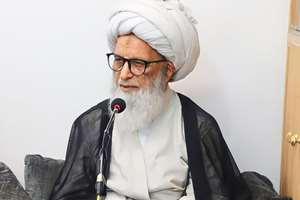 آیت‌الله شیخ بشیر نجفی: فرشتگان بر مقام خادمان امام حسین(ع) در قیامت غبطه می‌خورند