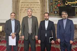 فضای مجازی مجالی برای حفظ میراث فرهنگی است
